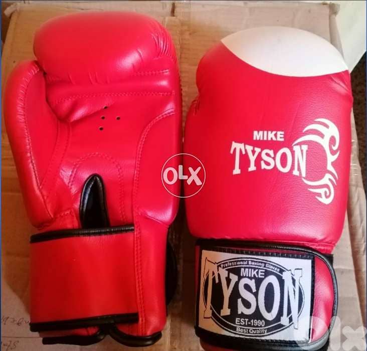 Kick boxing gloves 0