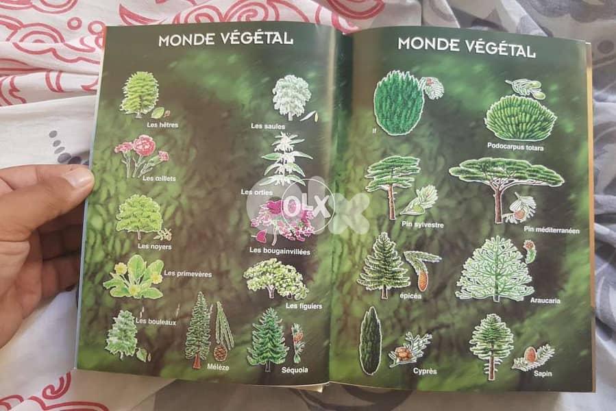 Dictionnaire francais arabe for 10 usd 2