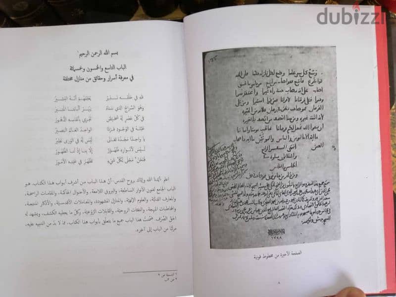 عالية عرمون 6