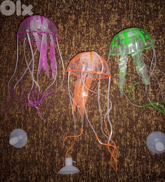 Magical luminous aquarium jellyfish 9