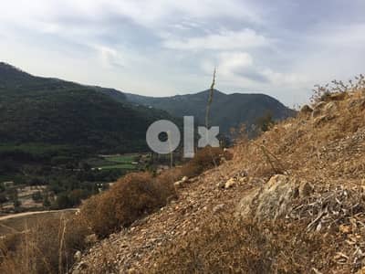 land for sale in Bsaba chouf