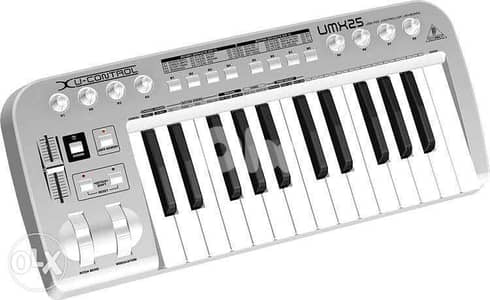 USB and MIDI Controller UMX25