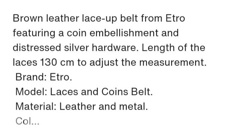 belts from etro / sliver coin  /italy 4