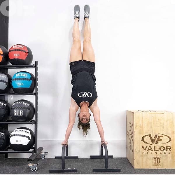 Parallettes dip bars 1