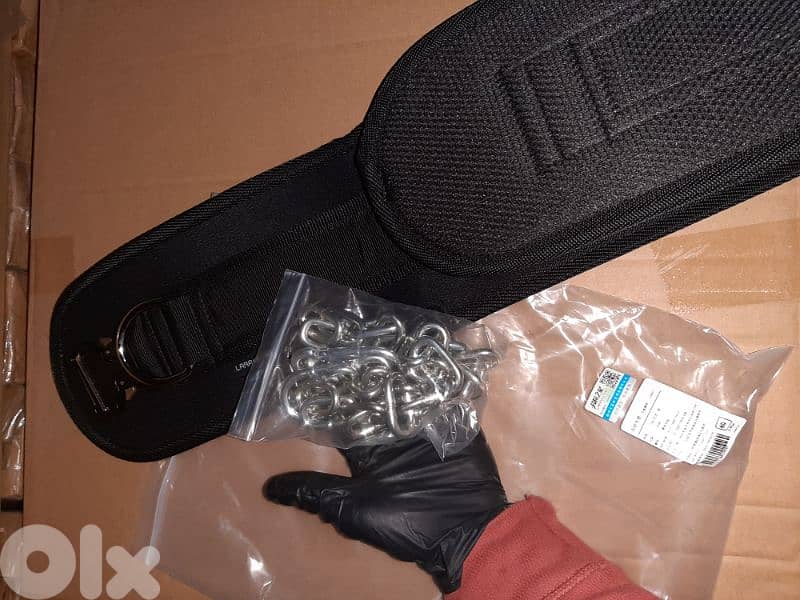 gym weight bearing belt 2