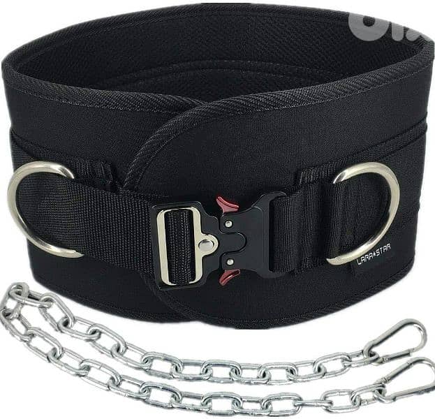 LARASTAR Weight Bearing Belt 1