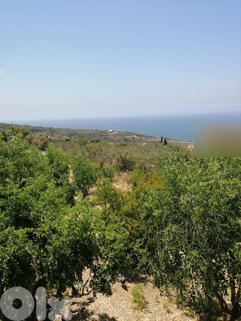 HOT DEAL (1600Sq) House In Jbeil Prime , أرض للبيع في جبيل 2