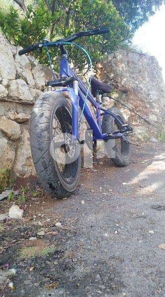Fat bycicle