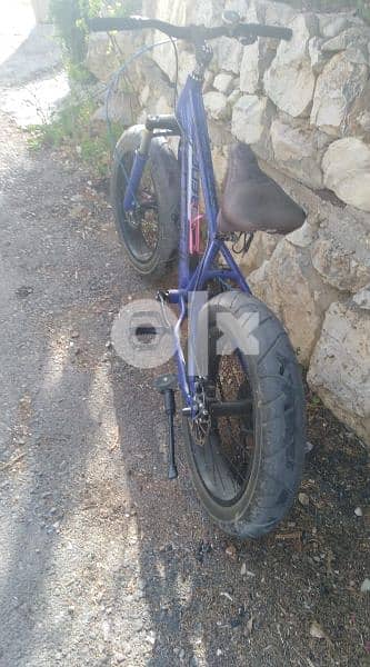 Fat bycicle 4