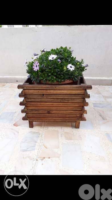 ديكورات 1