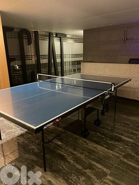 Stiga Indoor Action Roller table tennis ( germany) 2