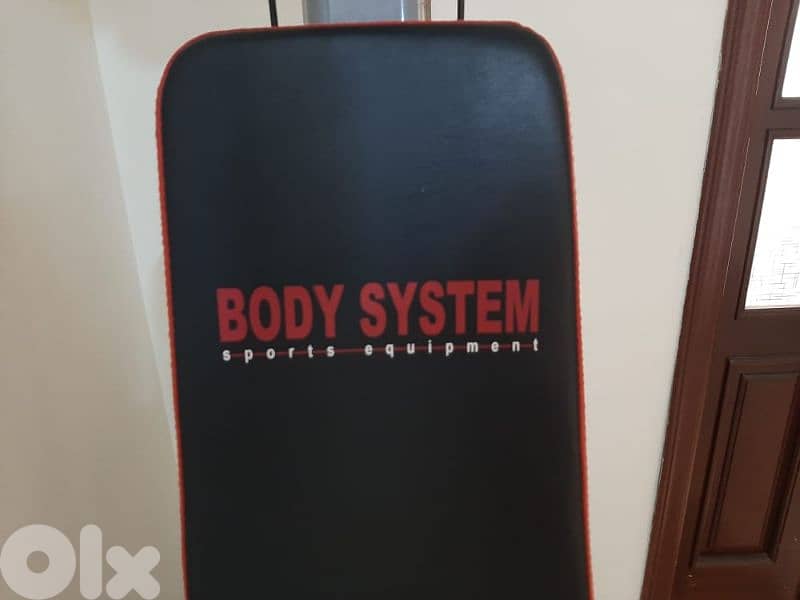 Boddy building Home Gym machine 03027072 GEO SPORTS EQ 1