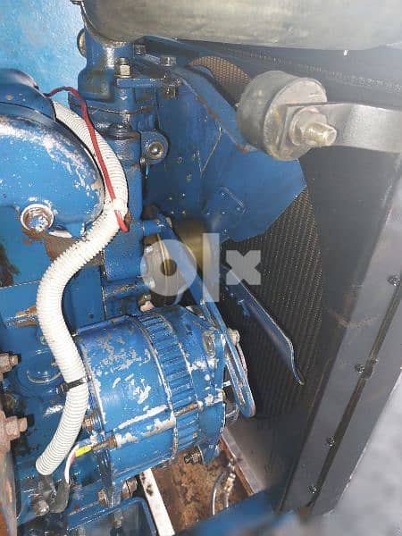 مولد انكليزي بحالة جيدة جدا" 1