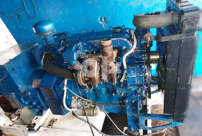 مولد انكليزي بحالة جيدة جدا" 3