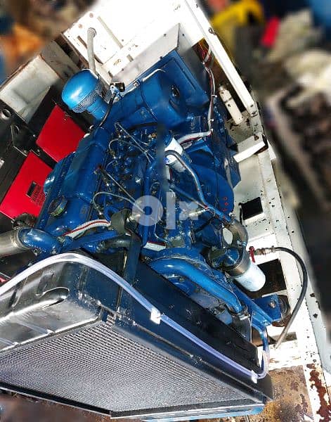 مولد انكليزي بحالة جيدة جدا" 4