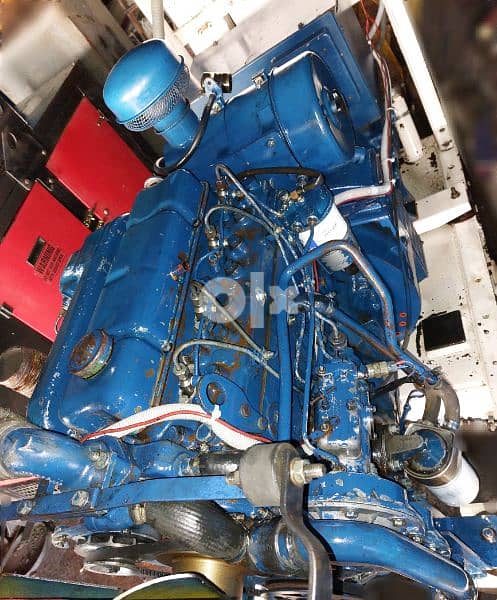 مولد انكليزي بحالة جيدة جدا" 5