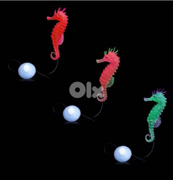 luminous aquarium seahorse 2