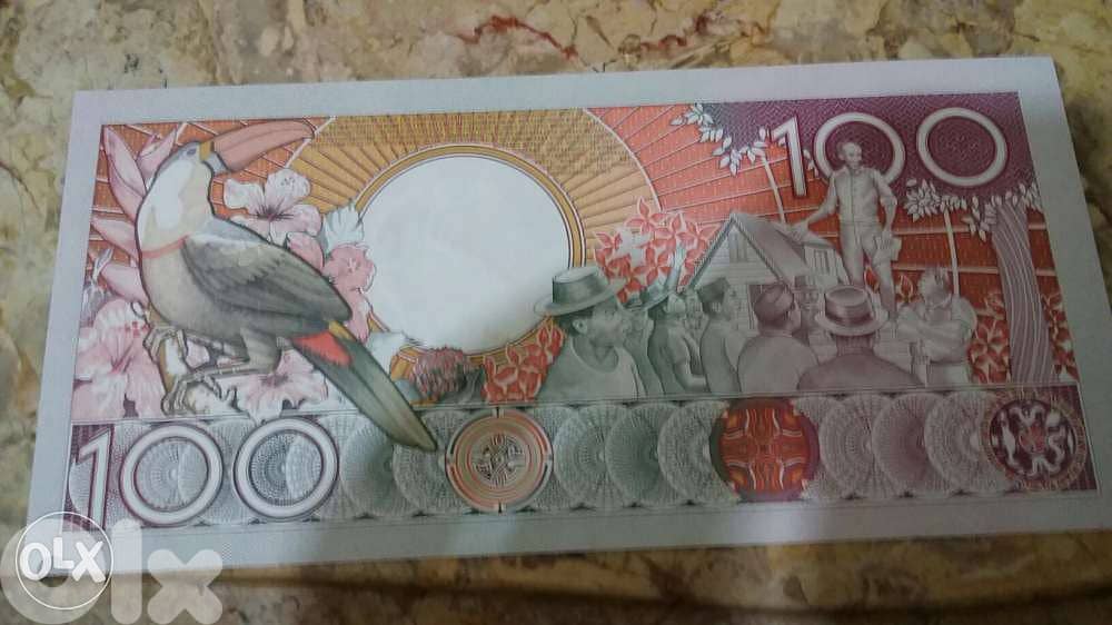 Surinam Banknote Netherlands Holland Colony in Latin America 1