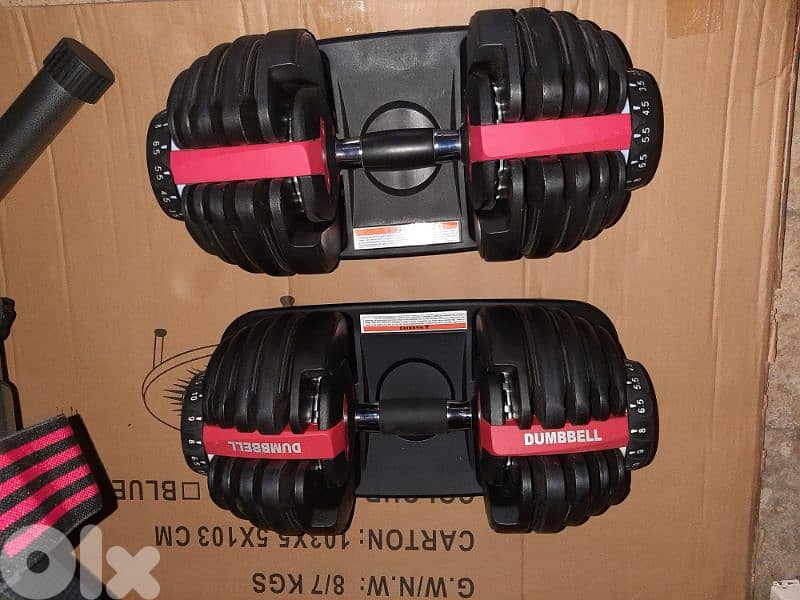 Heavy-duty Bench + pair Adjustable Dumbbells + Gym Gloves 2