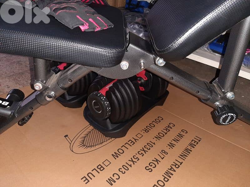 Heavy-duty Bench + pair Adjustable Dumbbells + Gym Gloves 8