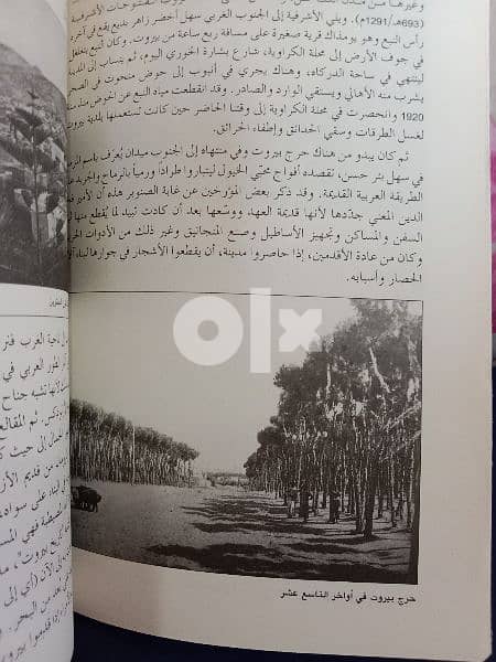 رزق الله عهيديك الأيام يا راس بيروت 6