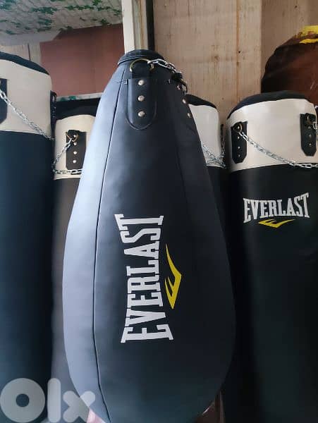 Everlast Tear Drop Punching Bag 0