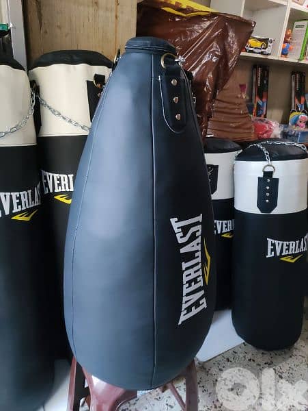 Everlast Tear Drop Punching Bag 1