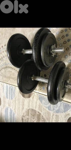 2 axe dumbells plus 30 kg rubber plates 03027072 GEO SPORTS 0