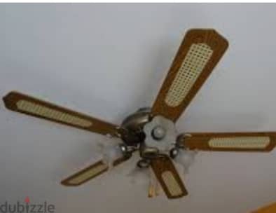 Ceiling Fan