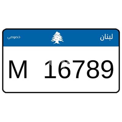 M 1 6 7 8 9 Special Plate Number