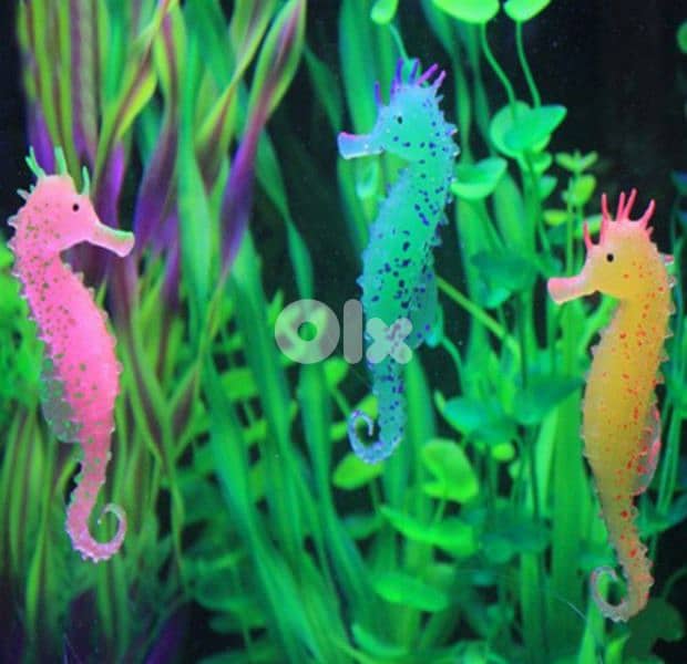 luminous aquarium seahorse 0