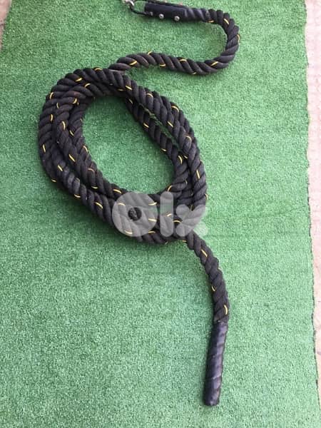 climbing rope for gym with rubber protection 70/443573 RODGE 1
