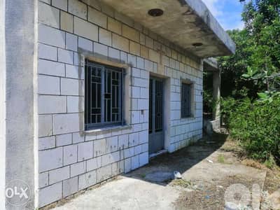 عمشيت تحت الاوتوستراد