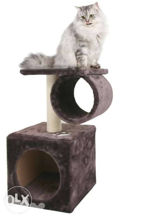 Dogs and cats houses 2