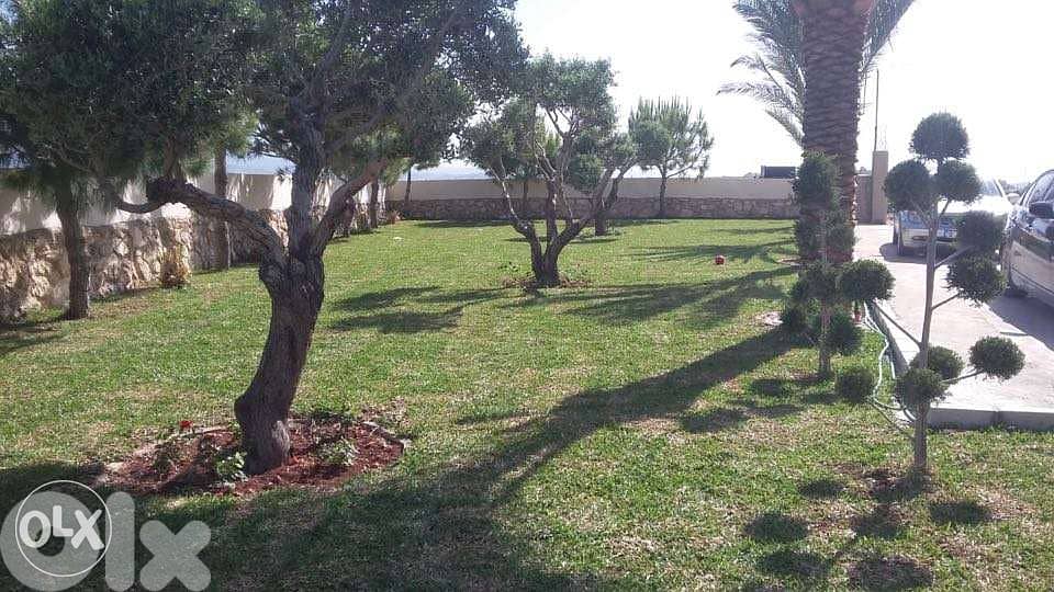 تصميم وتنسيق حدائق بأفضل الأسعار Landscaping and garden design 5