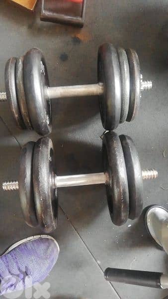 35 kg weights and dumbells 03027072  GEO SPORTS
