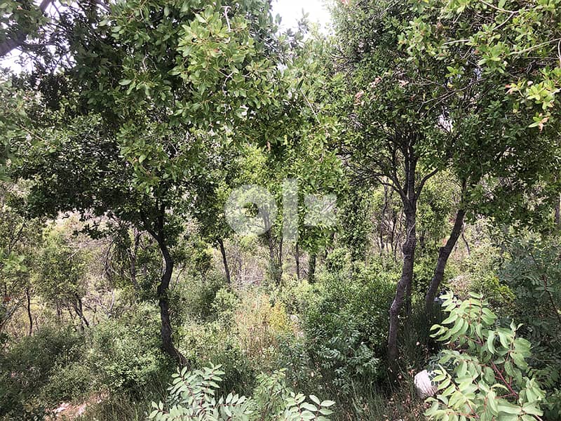 Fidar | Land| Sea View|2 minutes from highway | أرض للبيع |PLS25083-7 8