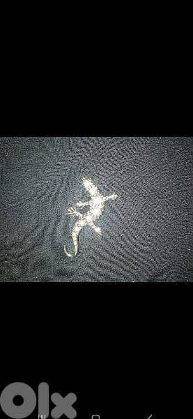 brooch lezard brooch gold with strass 2