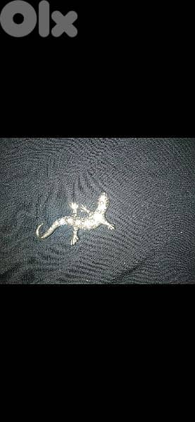 brooch lezard brooch gold with strass 5