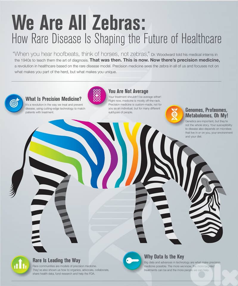 Year-4 Copywriter/Content Writer/Graphic Artist 2