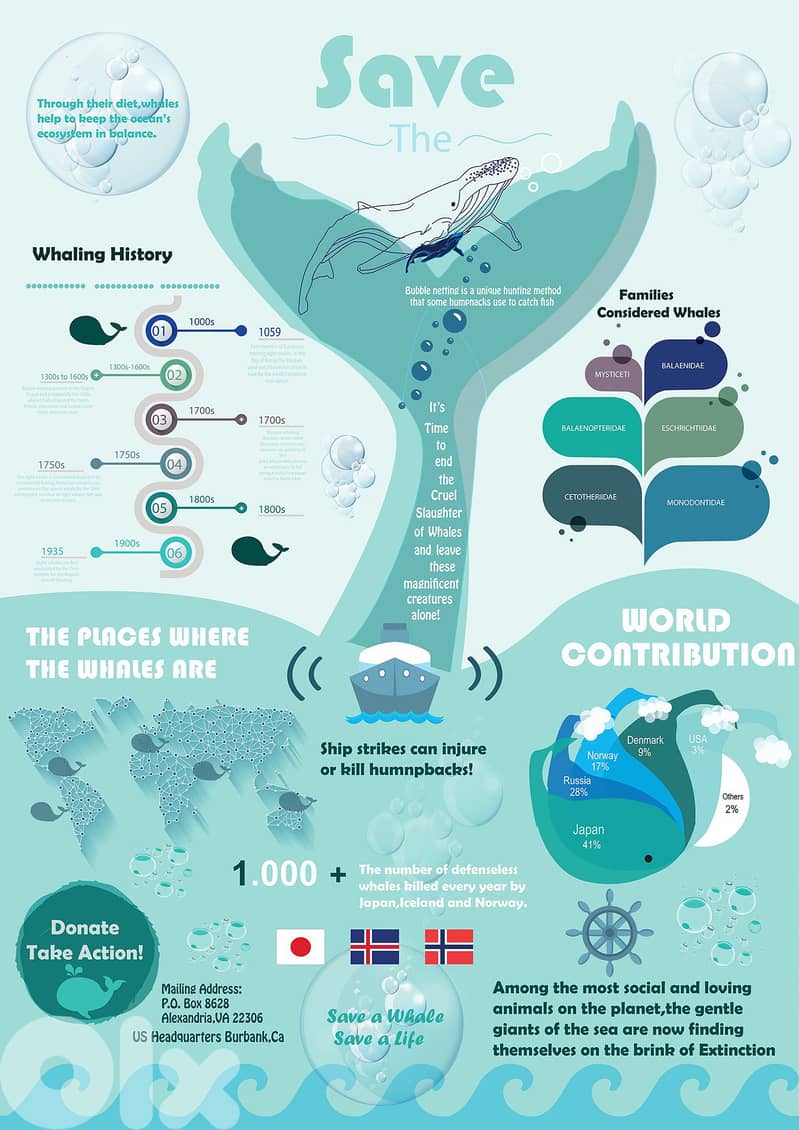 Year-4 Copywriter/Content Writer/Graphic Artist 3