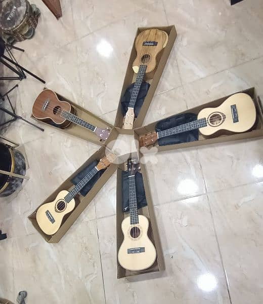 new collection ukelele kalimba xylophone 2