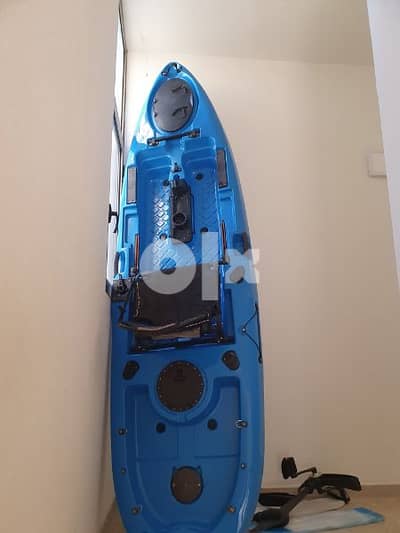 Kayak with both paddles and pedals