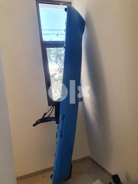 Kayak with both paddles and pedals 1