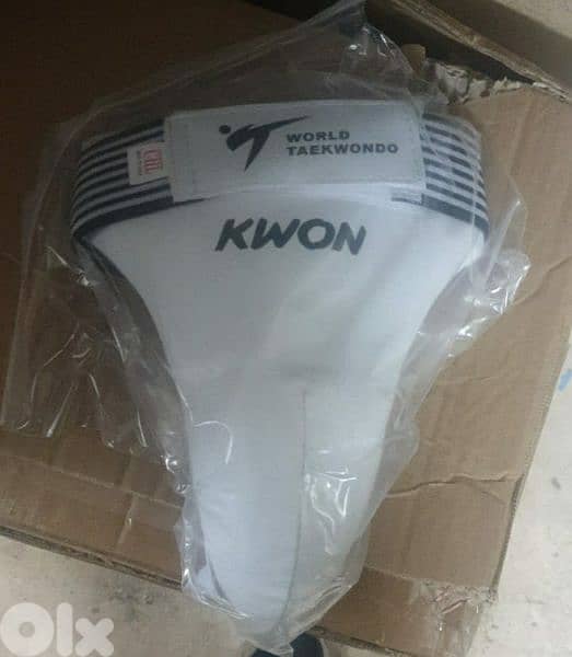 Taekwondo equipments 4