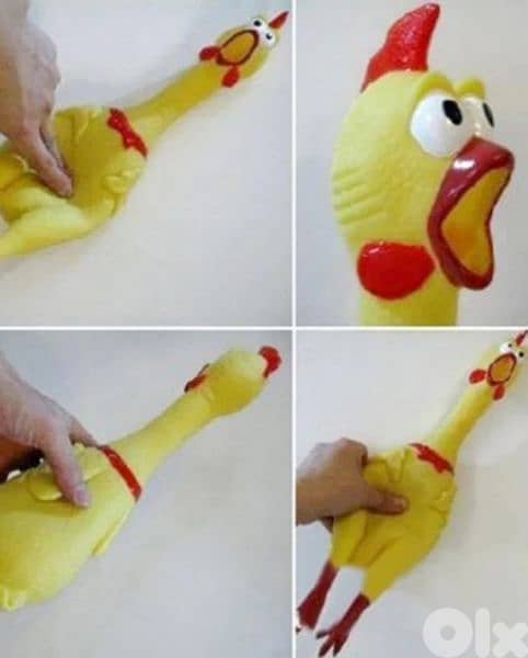 hilarious screaming chicken 5$ 5