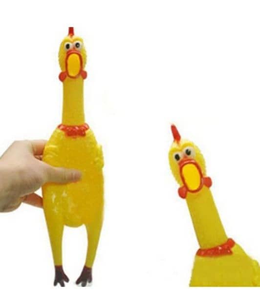 hilarious screaming chicken 5$ 6