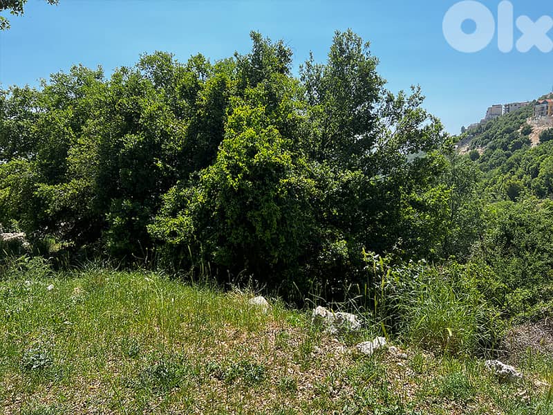 KfarBaal | Land | Sea & Beirut View |ارض للبيع| كفربعال| |PLS25043 6