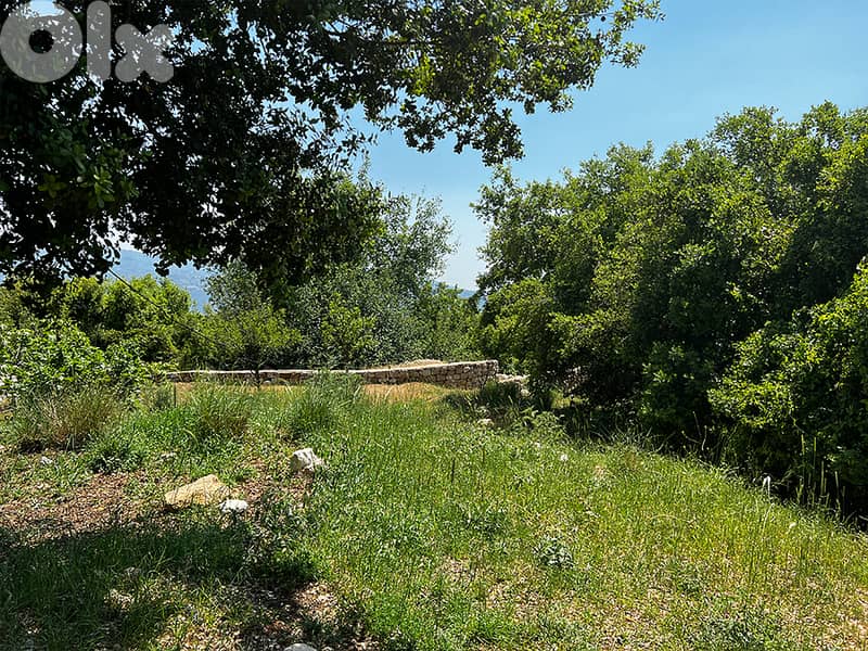 KfarBaal | Land | Sea & Beirut View |ارض للبيع| كفربعال| |PLS25043 7