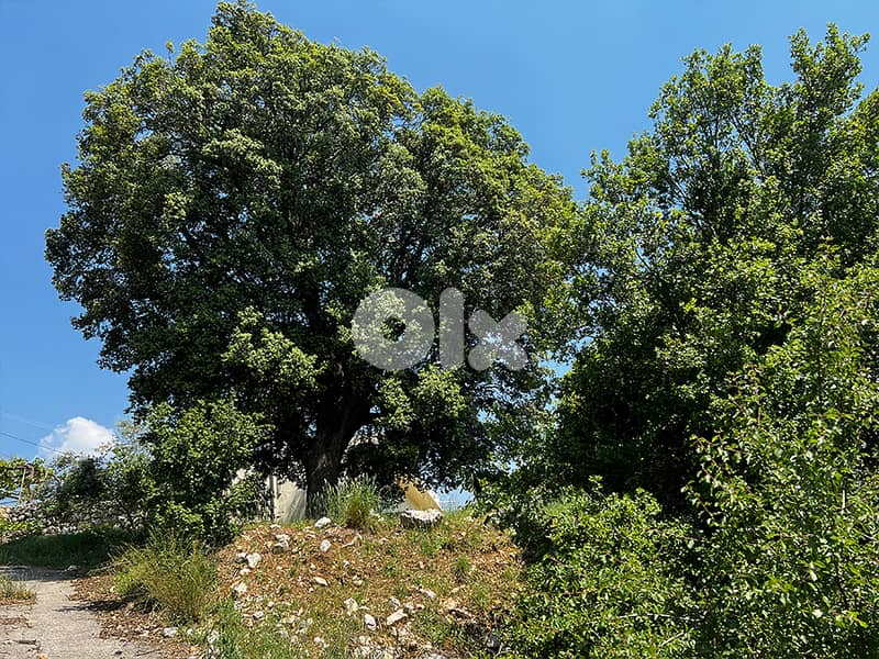 KfarBaal | Land | Sea & Beirut View |ارض للبيع| كفربعال| |PLS25043 9
